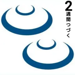 ジャグアタトゥーシール 2週間持続 柄 小ぶり ハロウィン パーティー 夏 海
