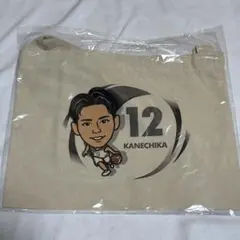 Item thumbnail for item 31dee297-7c7b-488c-8554-153dc333aaf4