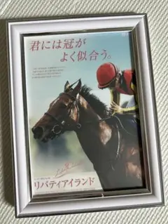 Liberty Island リバティアイランド 競馬 写真　額縁セット