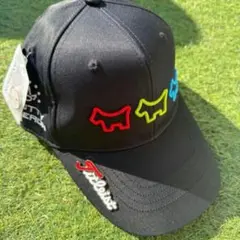 Item thumbnail for item b867c98d-1aa6-4be9-8313-7967c6ed4dcb