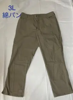 大きいサイズ 3L カジュアルパンツ ベージュ 綿パン サイドスリット入り