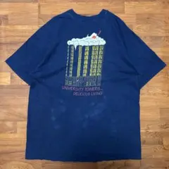 【USA製】80s ヘインズ プリント Tシャツ シングルステッチ XL 紺