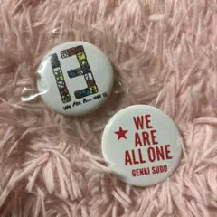 GENKI SUDO WE ARE ALL ONE バッジ 2個セット