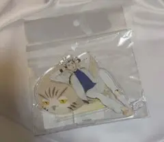 ハイキュー 木兎光太郎 アクリルスタンド