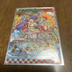 メデタイ　＆　ペルセウスリュウセイ隊　等 11枚セット