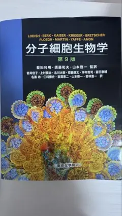 分子細胞生物学 第9版 分子細胞生物学 第9版 - メルカリ