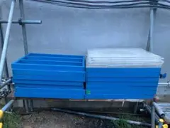 透明型枠