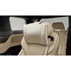 Item thumbnail for item 242c11d5-84e4-4edf-bff9-a6e370842e1c