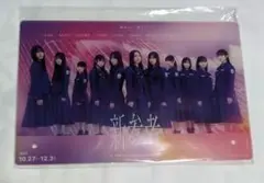 櫻坂46 三期生 新参者 アクリルパネル 宿泊者限定 MILANO-Za