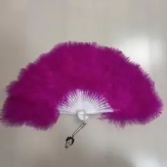 葉加瀬太郎　はかせんす