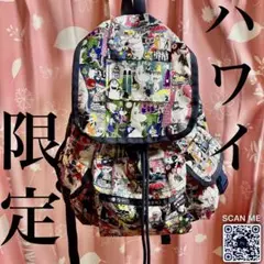 【美品】 ムーミン ハワイ 限定 LeSportsac リュック