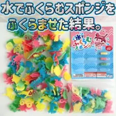 水でふくらむスポンジ 100均
