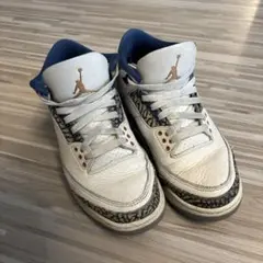 Air Jordan 3 Retro True Blue and Copper