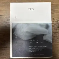 YES 本