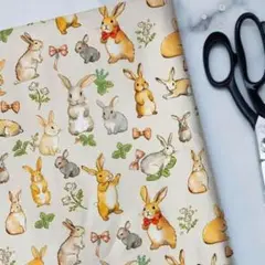 8/17限定SALE　うさぎ布　白　30㎝　生地