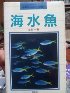 海水魚 山渓フィールドブックス 6