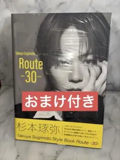 Item thumbnail for item c92fb943-0826-44e0-a7be-3005451e0878