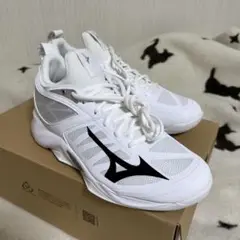 Item thumbnail for item f1b581a4-ab70-4682-b4bd-20d4c60f4c1a