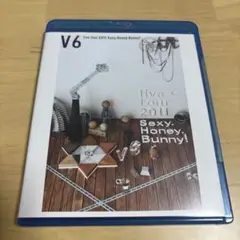 V6/live tour 2011 Sexy.Honey.Bunny!