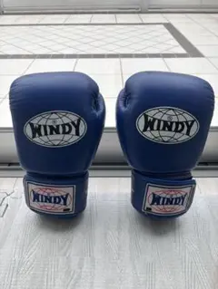 WINDY グローブ 14 oz