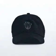 24時間以内発送 新品未開封品 DWS × NEW ERA キャップ ブルー 24時間以内発送 新品未開封品 DWS × NEW ERA キャップ ブルー