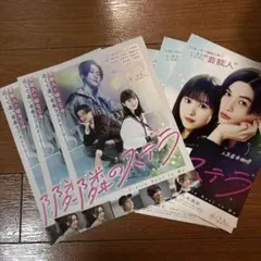 隣のステラ　フライヤー
