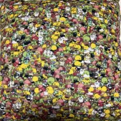 Item thumbnail for item ce4afef2-ab2b-4c56-b6e5-9cd7cc8dcac2