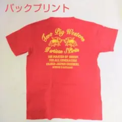 ステュディオ・ダ・ルチザン STUDIO D'ARTISAN Tシャツ 赤