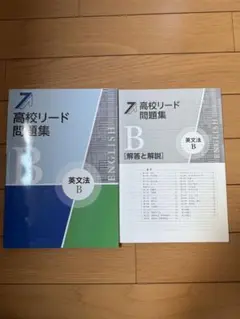 高校リード問題集 B 英文法