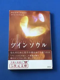エンリケ・バリオス『ツインソウル : なんのために双子の魂はめぐり逢うのか』 ツインソウル: なんのために双子の魂はめぐり逢うのか (5次元