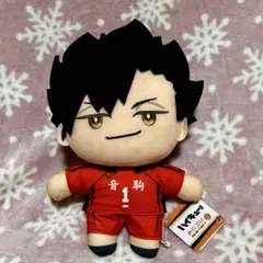 黒尾鉄朗【ハイキュー!! 】みにコレBIGぬいぐるみ3