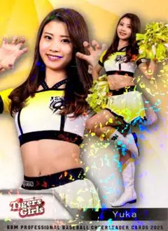 Item thumbnail for item 5dc70049-0947-4080-923b-56a51e79c596