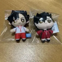 ハイキュー　黒尾　ぬいパル　ちびぬい　ぬいぐるみ