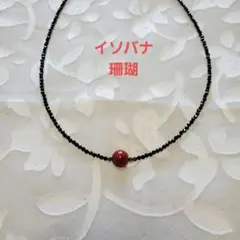 イソバナ珊瑚 テラヘルツ入り ブラックスピネルネックレス