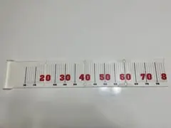 ダイワ ランカースケール 80cmメジャー