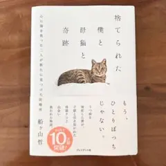 捨てられた僕と母猫と奇跡