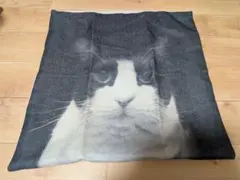 猫顔　クッションカバー