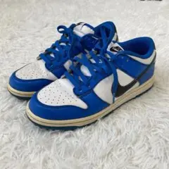 NIKE DUNK ナイキ ダンク ゴルフ シューズ スニーカー 25.5