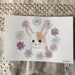 原画　水彩画　うさぎ　コスモス　ポストカード　手描きイラスト　オリジナルイラスト