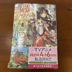 聖女の魔力は万能です 3