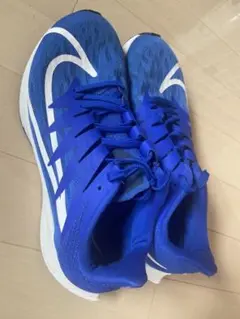 Nike ランニングシューズ 青24.5㎝