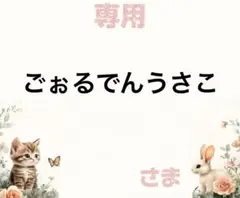 専用