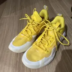 【中古・美品】Way of Wade allcity13 化学反応 27cm Li-Ning Way Of Wade All City 13 'Crushed ice' basketball