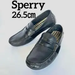 Item thumbnail for item 562283ed-d1ff-44e4-aab1-250b466ff3d2