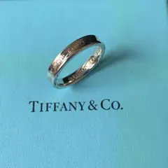 【新品未使用品】TIFFANYu0026Co ティファニー ナロー リング 17号
