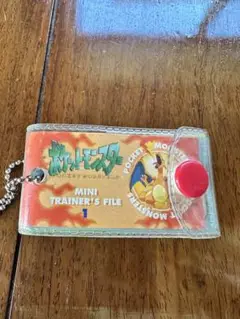 ポケモンメザスタ ミニトレーナーズファイル 1