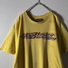 雰囲気抜群‼️希少カラー 90s 00s Harley Davidson L