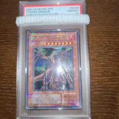 鑑定品 PSA10 】 極美品 世界8枚 エビルナイト・ドラゴン