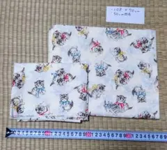 ブロード生地　キルトゲイト　子猫　70cm+α　アイボリー