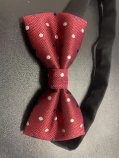 Item thumbnail for item 9e0edc00-cf7d-4e49-8a3f-34c60380880c